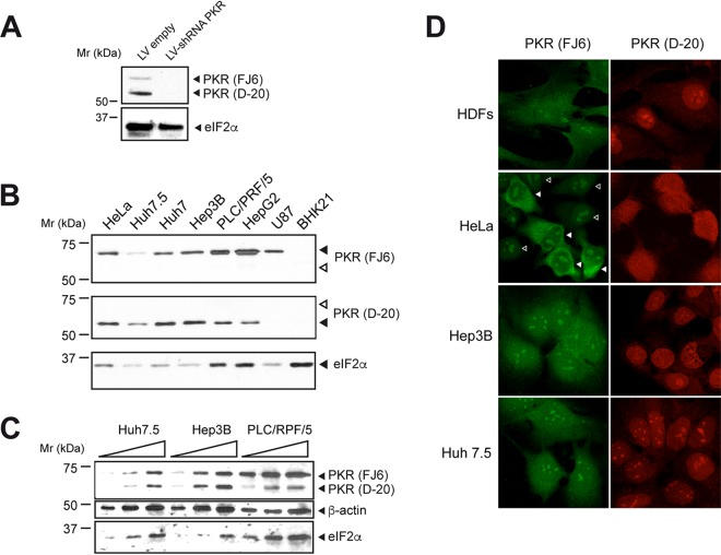 FIG 6