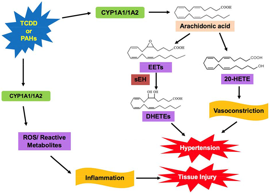 Figure 1: