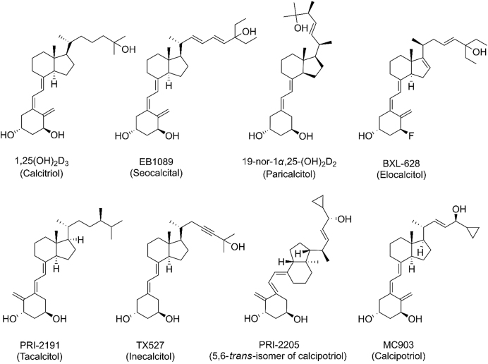 Fig. 2