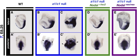 Figure 4.