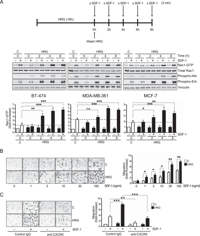 FIG 1