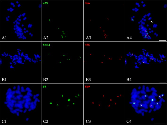 FIGURE 6