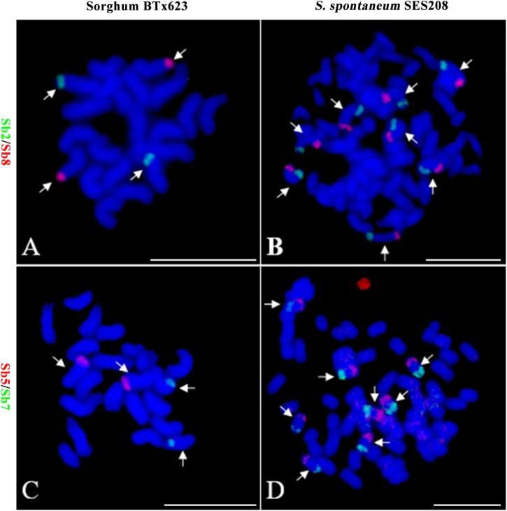 FIGURE 2