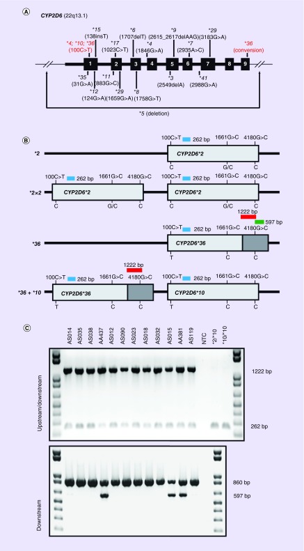 Figure 1. 