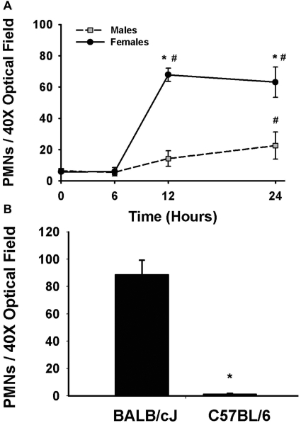 Fig. 10.