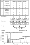 Scheme 3