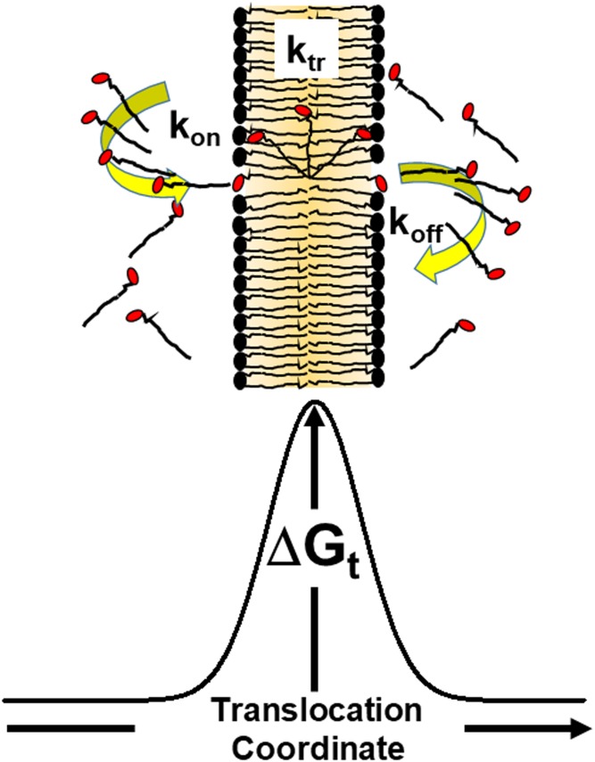 Fig. 1.