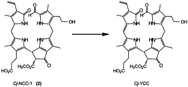 Scheme 6