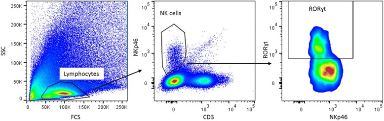 Fig. 3