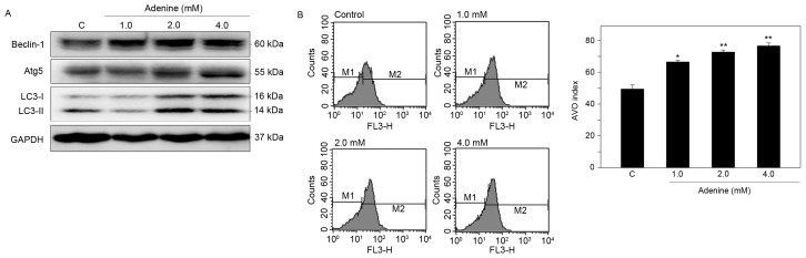 Figure 4.