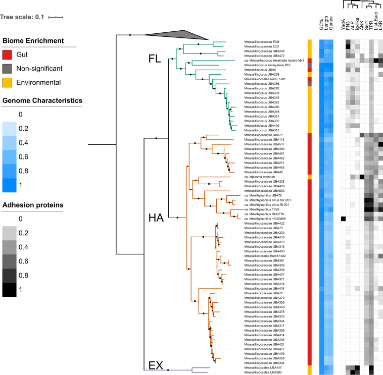 FIG 3