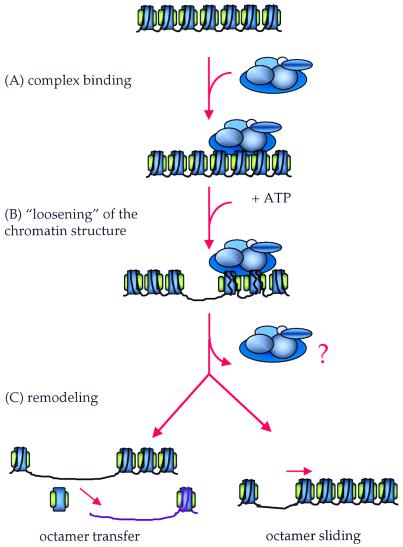 FIG. 1