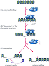 FIG. 1