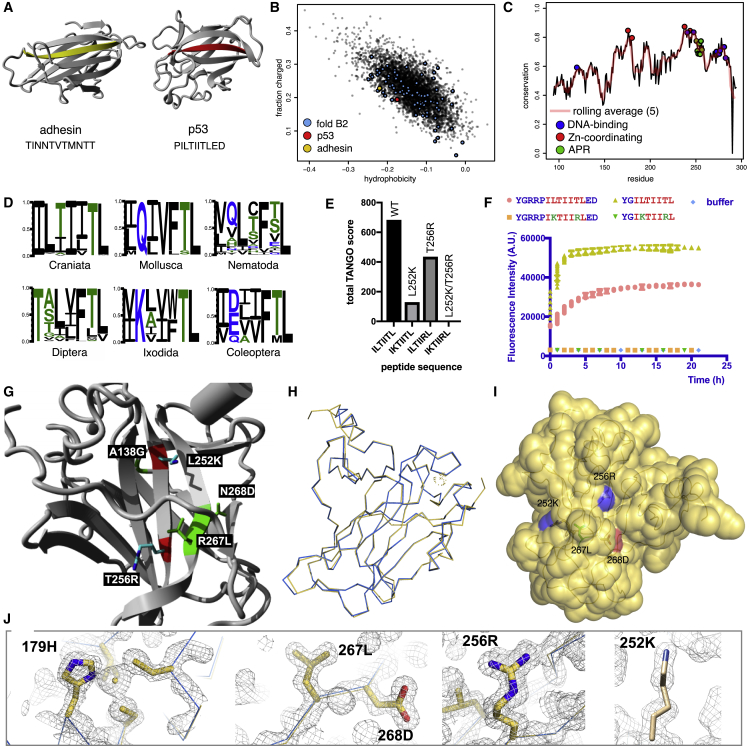 Figure 4