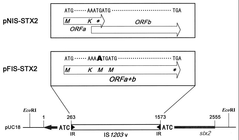 FIG. 1