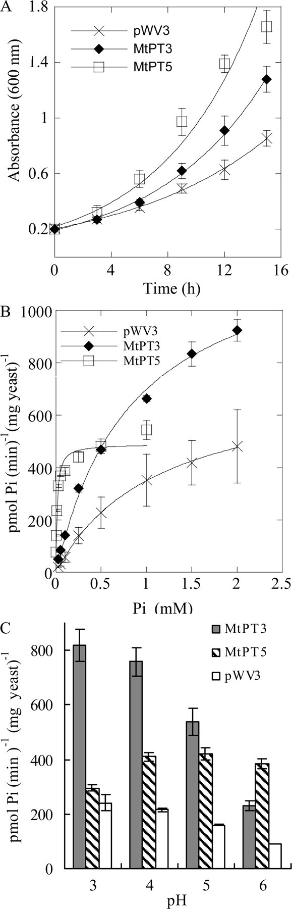 FIGURE 5.