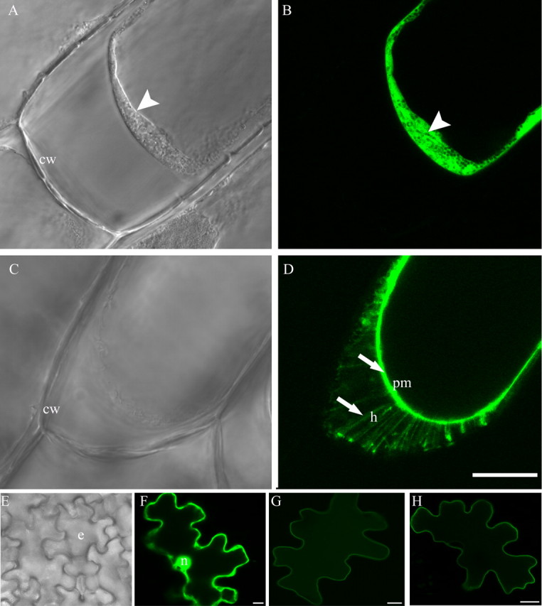 FIGURE 4.