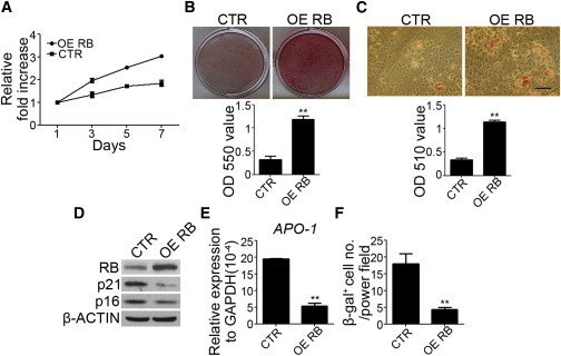 Figure 3