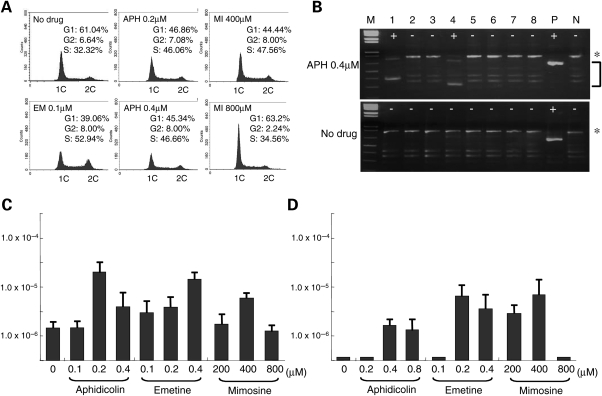 Figure 4.