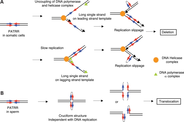 Figure 6.