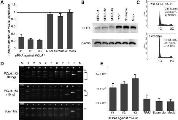 Figure 2.