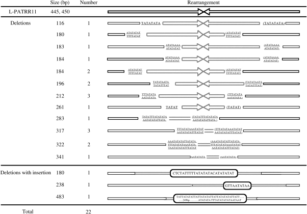 Figure 3.