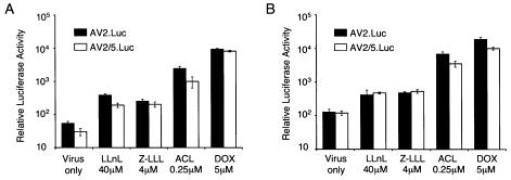 FIG. 2.