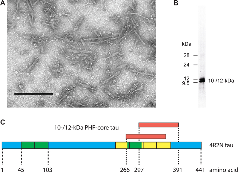 Fig.1