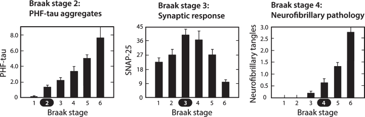 Fig.9