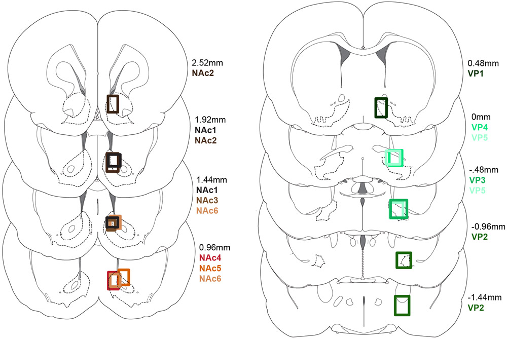 Extended Data Figure 1.