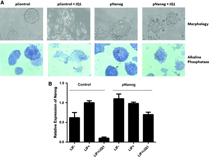 FIG. 4.