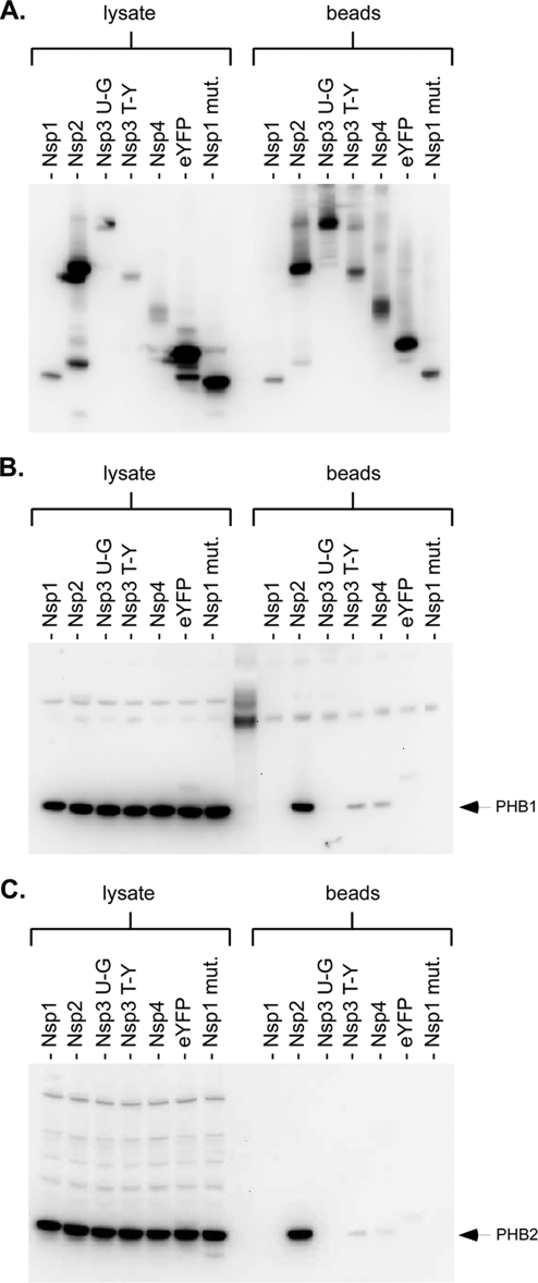 FIG. 3.