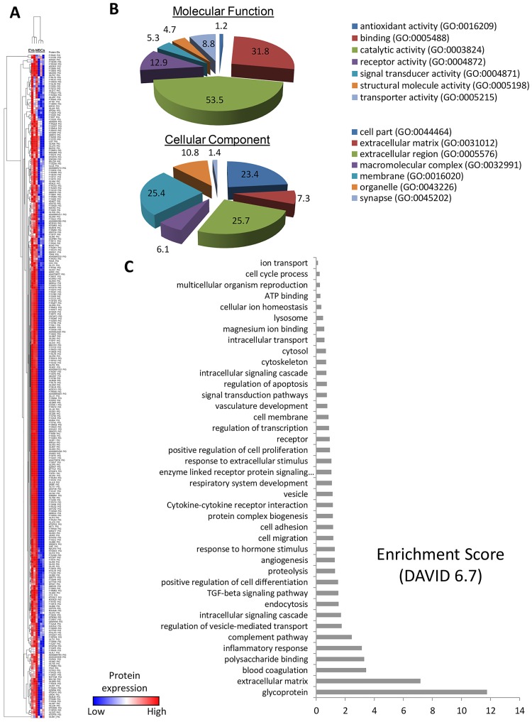 Fig 5