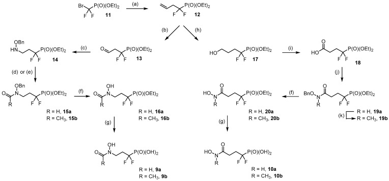 Scheme 2