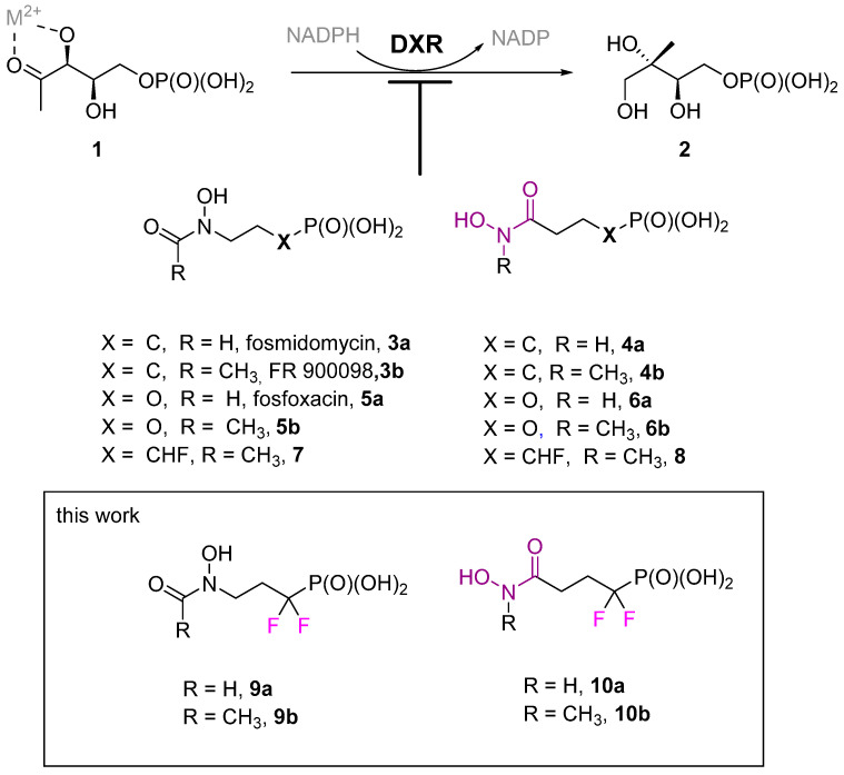 Scheme 1