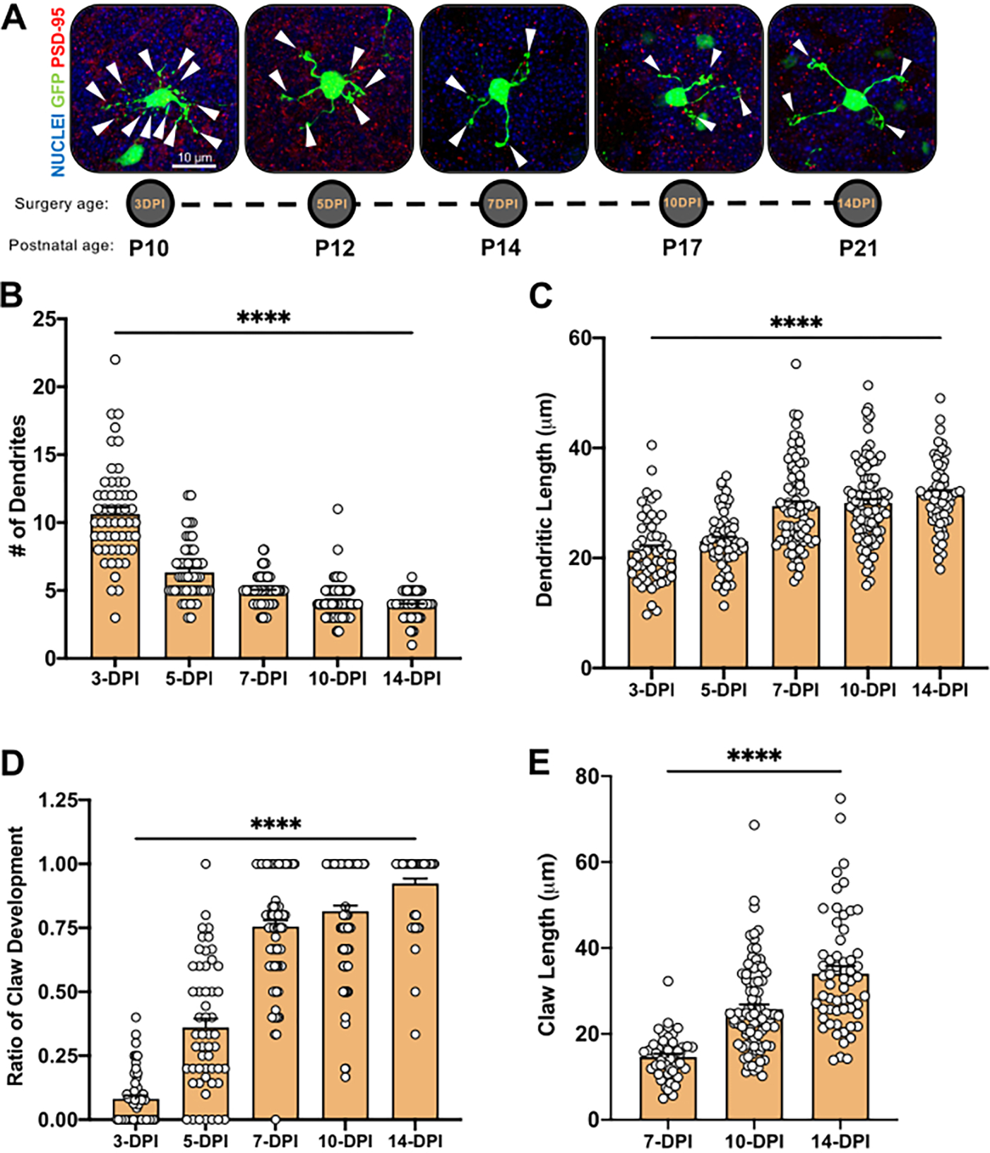 Figure 4: