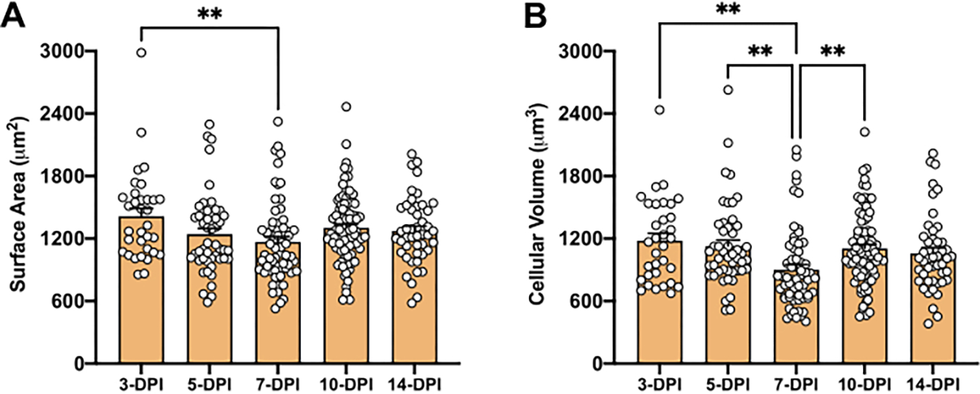 Figure 5: