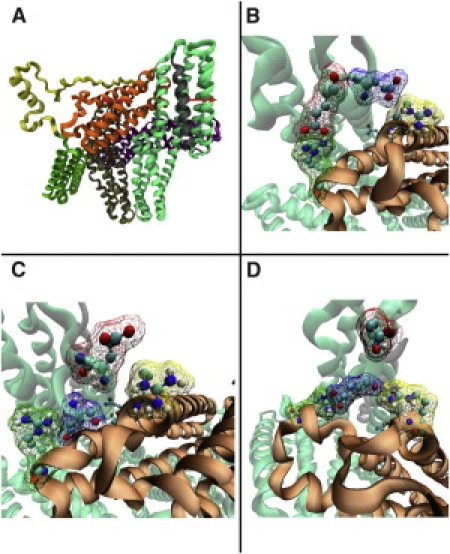 Figure 4