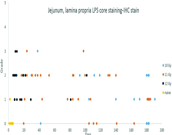 Figure 5a