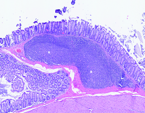 Figure 9c.