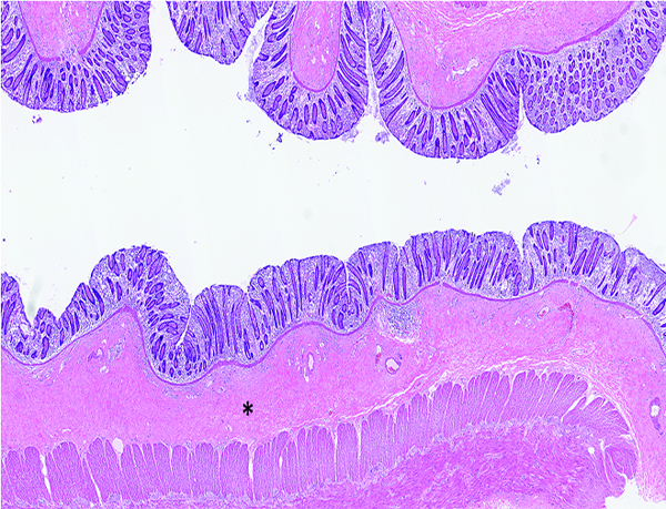 Figure 9a.