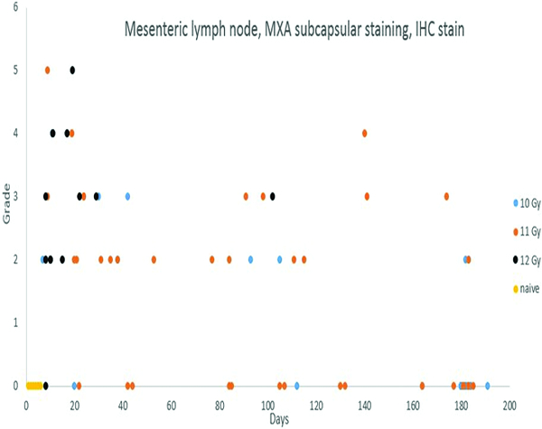 Figure 12a.