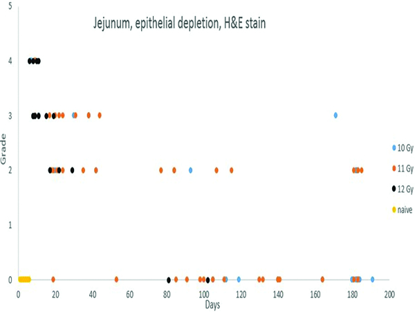 Figure 1b.