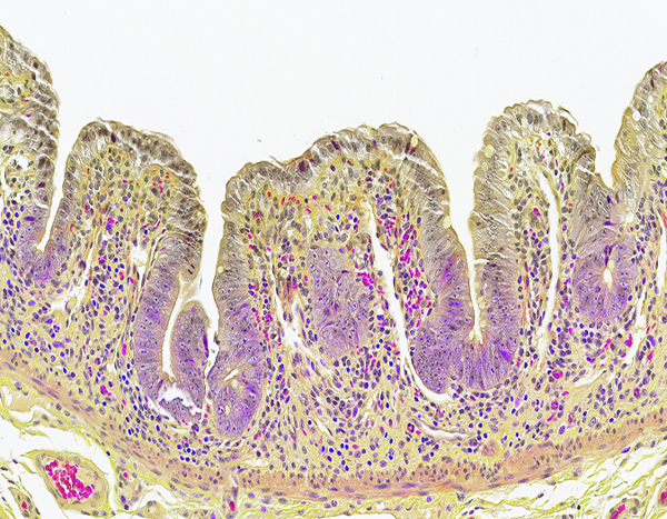 Figure 5c.