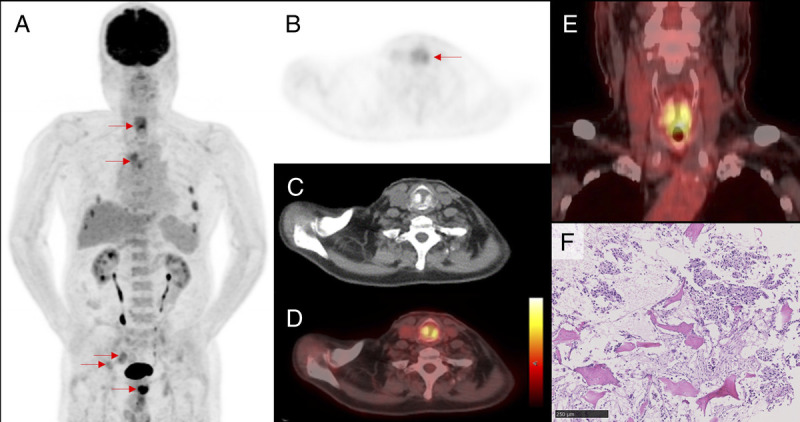 FIGURE 1