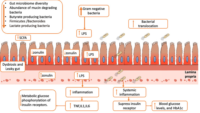 Figure 3