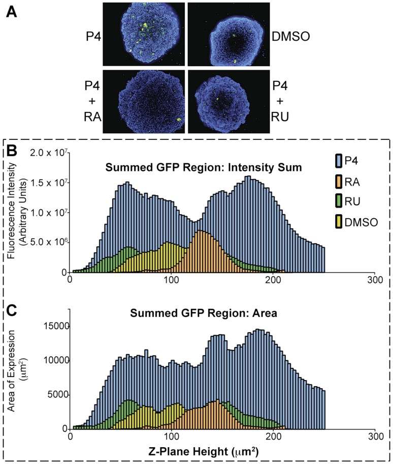 Fig. (2)