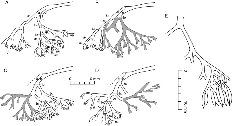 Fig. 11.