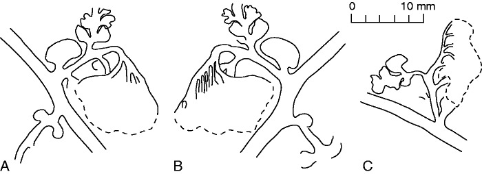 Fig. 9.