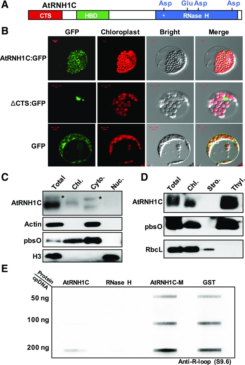 Figure 3.